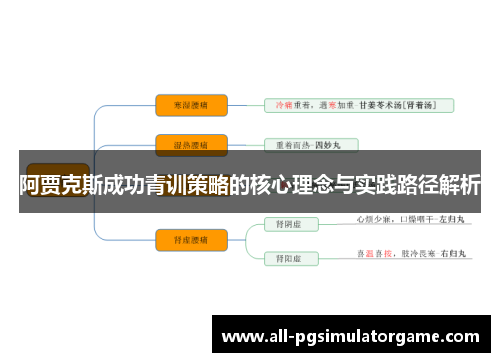 阿贾克斯成功青训策略的核心理念与实践路径解析