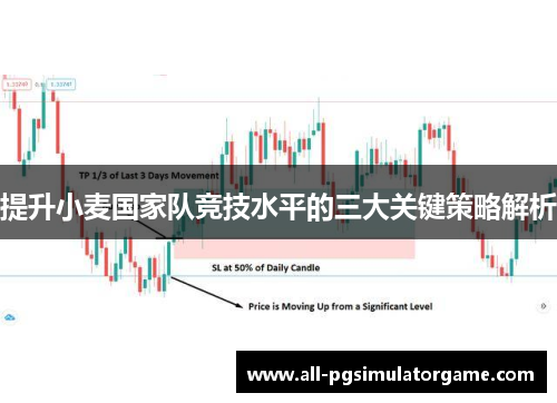 提升小麦国家队竞技水平的三大关键策略解析